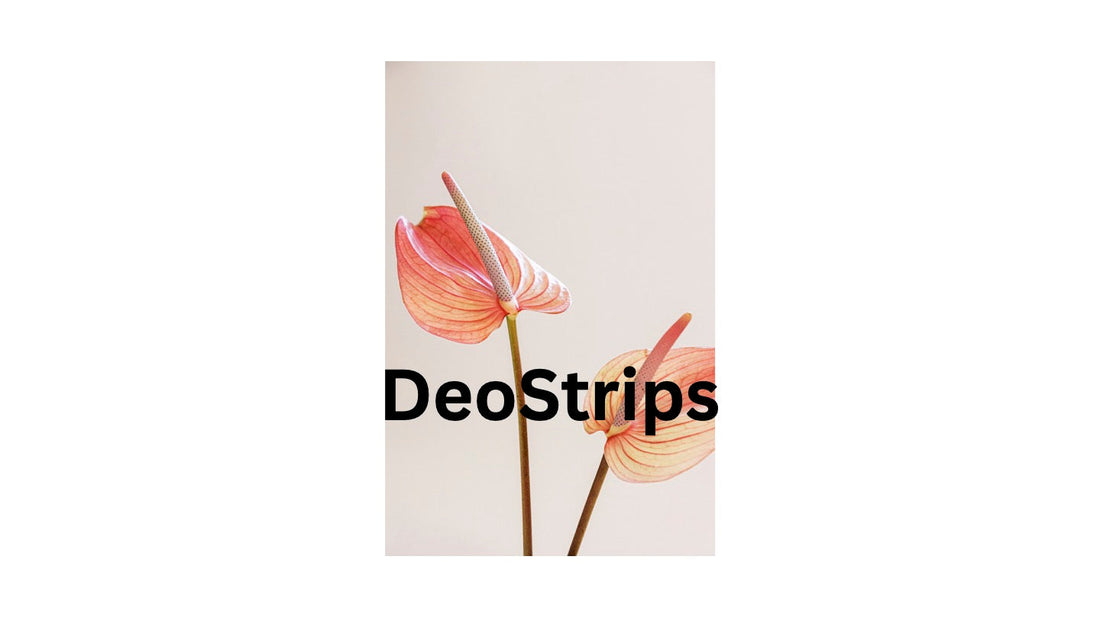 We’ve officially launched!